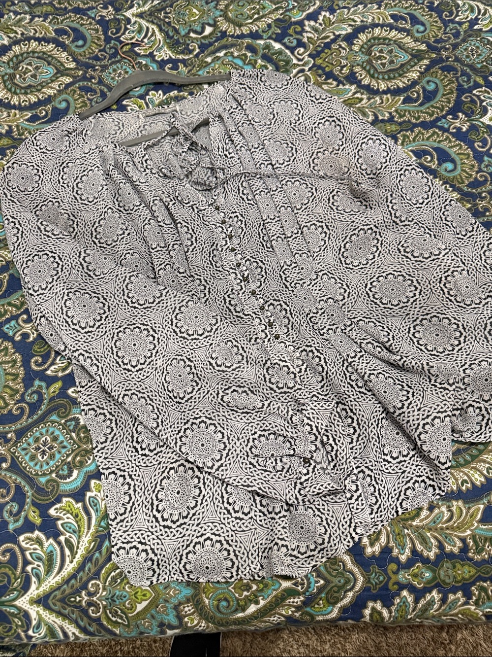Blk & Whte long sleeve blouse with a gathered back just to dress it up a bit.